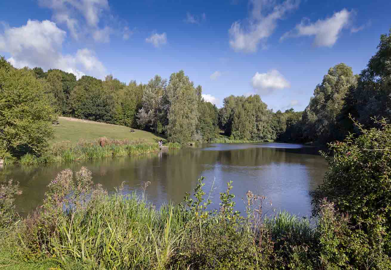 Colchester Weekend Family Activities: My Ultimate Guide to Making Memories